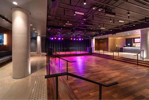 Muskoka Spirits Basement Bar