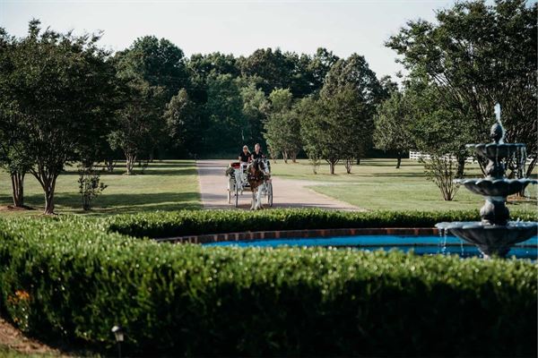 Fox Haven Gatherings