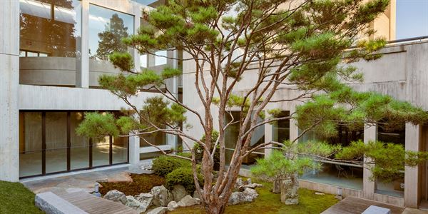 Johnson Museum Of Art At Cornell University