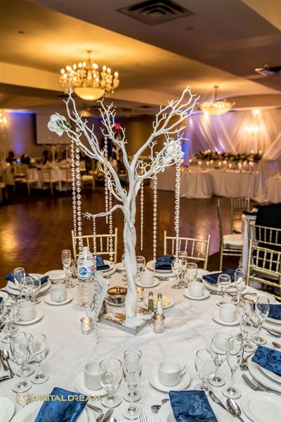 Renaissance by the Creek