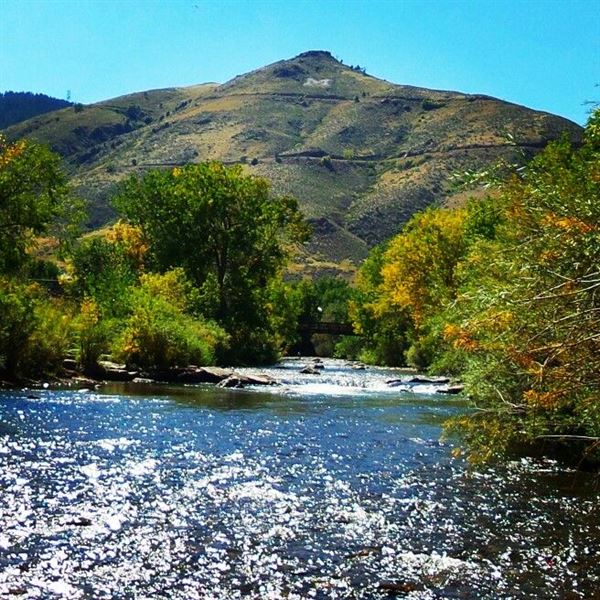 Intrinsic Collective