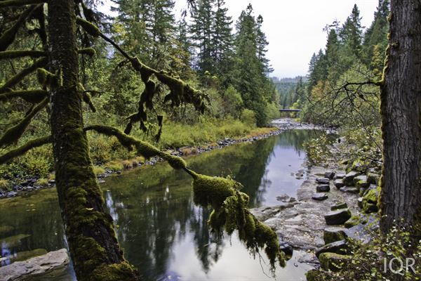 Trout Creek Wilderness Lodge