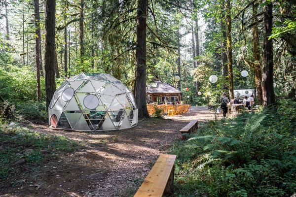 Trout Creek Wilderness Lodge