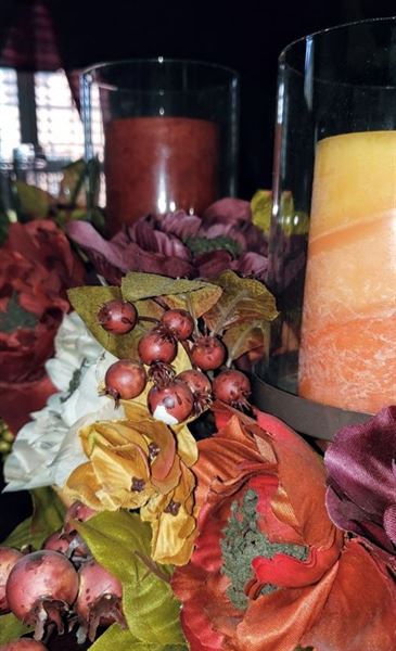 The T.Lashay Experience LTD.CO