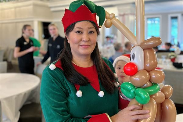 Hoopla Face Painting & Balloons LLC