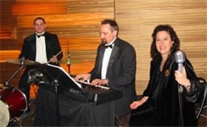 Diane Martinson Live Music, Inc. - Bloomington