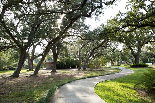 Lynn Meadows Discovery Center