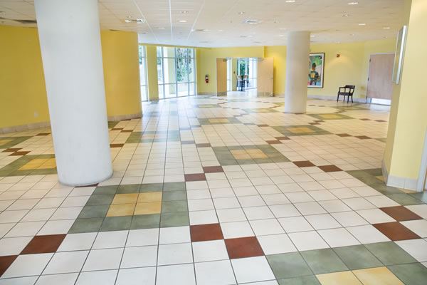 Lynn Meadows Discovery Center