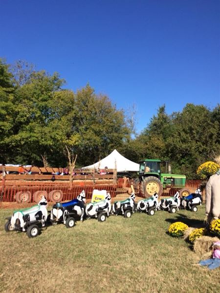 Tupelo Buffalo Park and Zoo