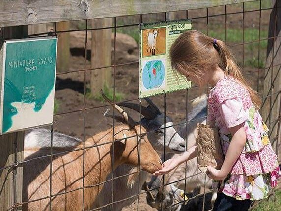 Tupelo Buffalo Park and Zoo