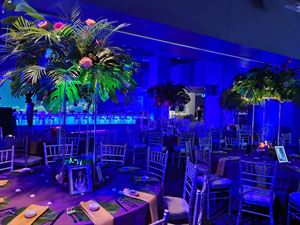 Deep Ocean 3D Viewing Theater