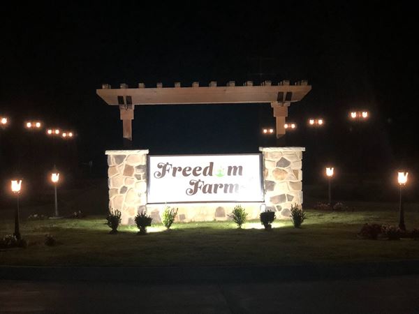 Festivity -  Freedom Farms