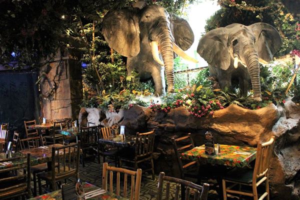 Rainforest Cafe