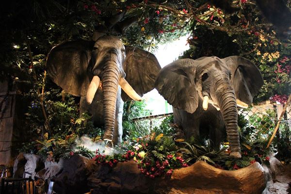 Rainforest Cafe