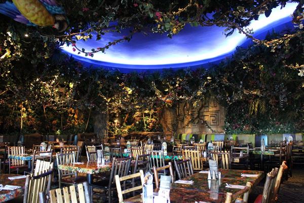 Rainforest Cafe