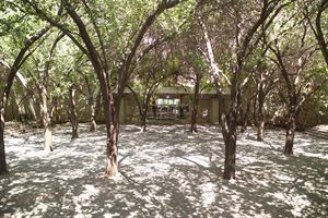 Fleischner Courtyard