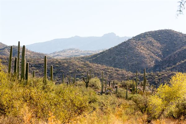 Tanque Verde Guest Ranch