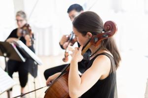 Duo d'Amore-string duos trios and quartets