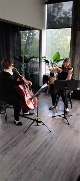 Duo d'Amore-string duos trios and quartets