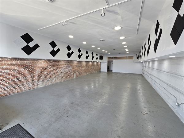 Funkshun at the Junkshun LLC