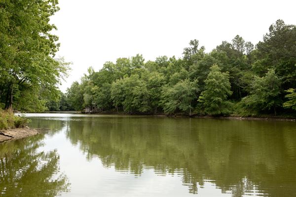 The Manor at Becks Lake , Bed & Breakfast