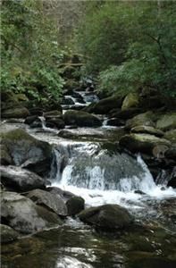 Cousart Studios Photography And Fine Art