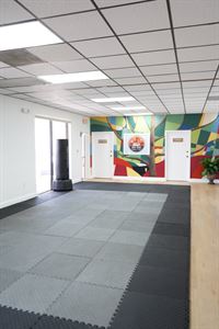 Martial Arts Mat Room