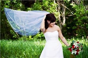 Painted Light Photography - Red Deer