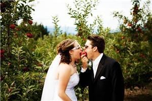 Painted Light Photography - Red Deer