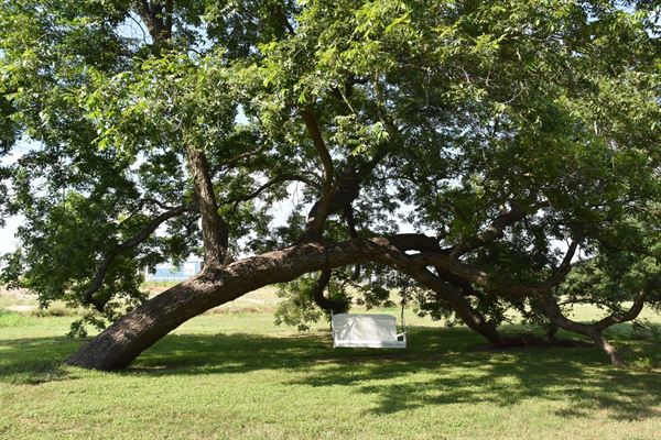 Redbud Ranch RV Resort