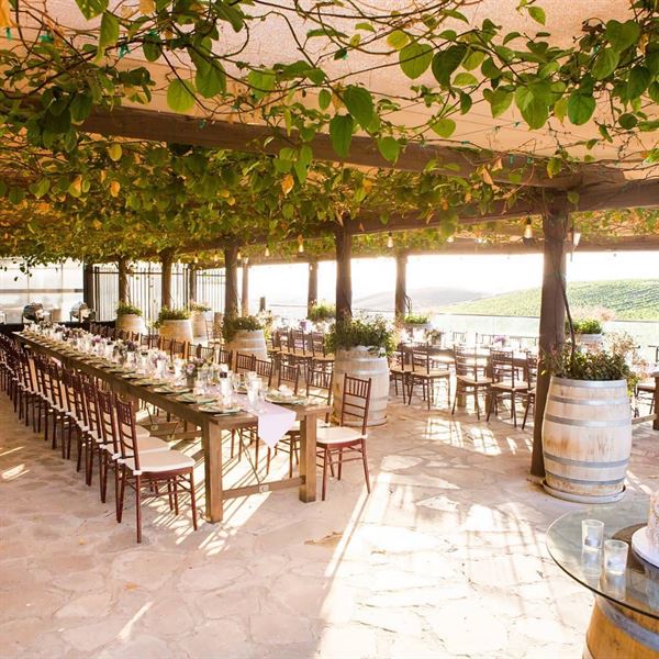 Callaway Vineyard & Winery