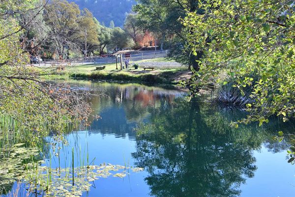 American River Resort