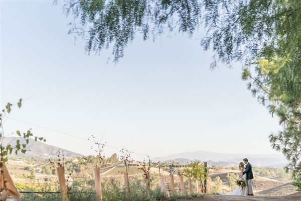 South Coast Winery & Resort