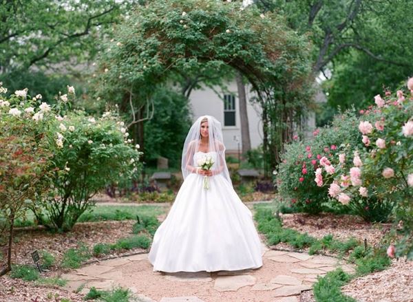 Wedding in the Branch
