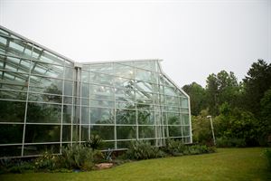 Butterfly House
