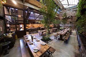 Beer Garden and Beer Bar