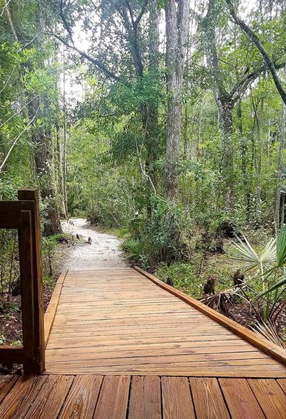 Calusa Nature Center and Planetarium