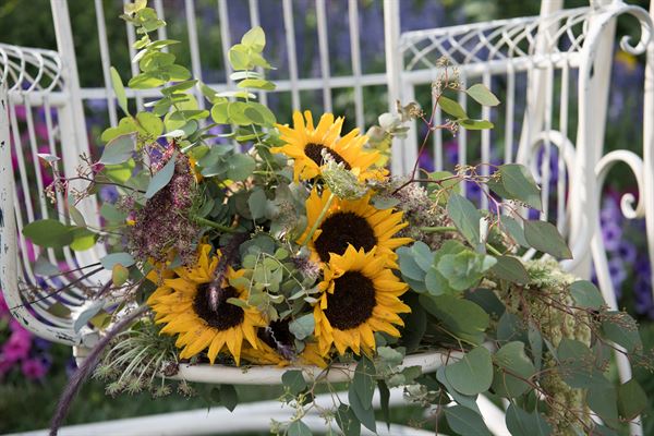 Bennett's Greenhouse