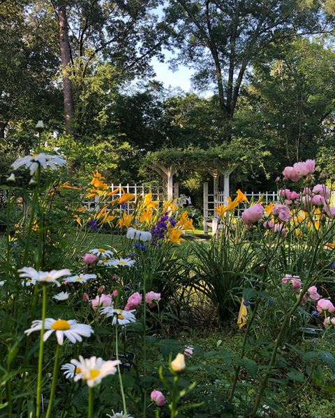 The Commons at Eudora Welty's Birthplace