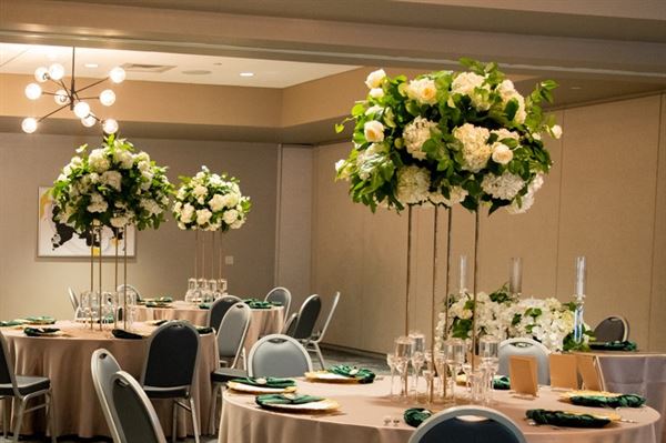 Cambria Hotel Downtown Asheville