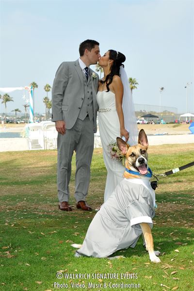 Affordable Wedding Planner San Diego – Cheap DJ, Photography, Videography