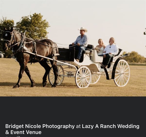 Lazy A Ranch Wedding Venue