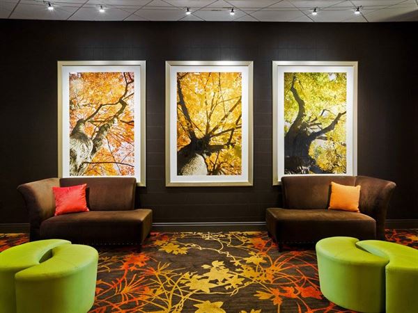 Sheraton Springfield Monarch Place Hotel