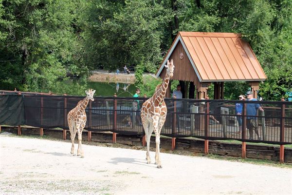 Evansville's Mesker Park Zoo & Botanic Garden