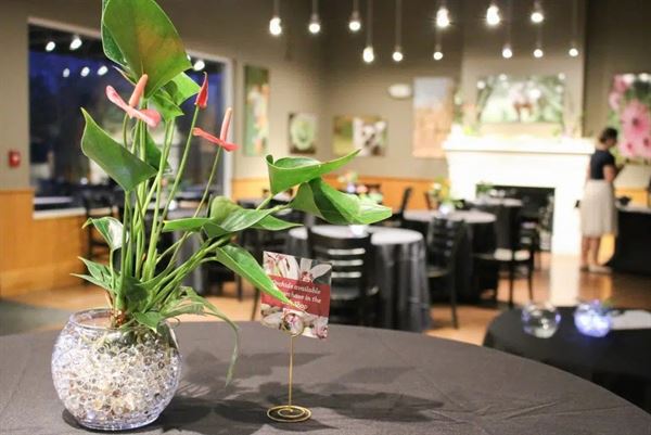 Evansville's Mesker Park Zoo & Botanic Garden