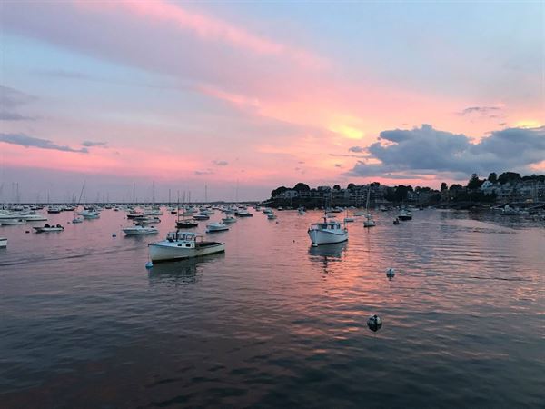 Mahi Mahi Cruises and Charters