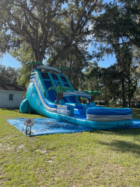 Celebration Party Rental