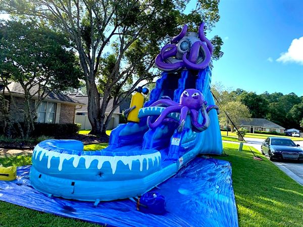 Celebration Party Rental