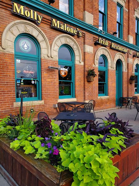 Molly Malone's Covington