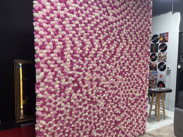 Oakland Park Selfie Museum